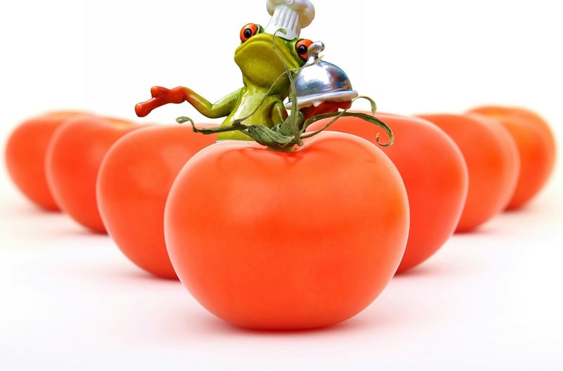 Zero-Waste Cooking